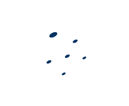 Broad Payload Compatibility